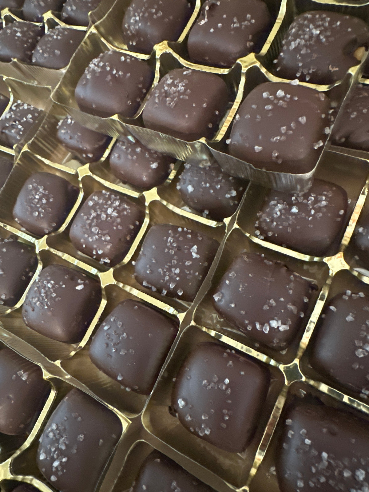 All Chocolates – J.A. Morey Artisan Chocolate